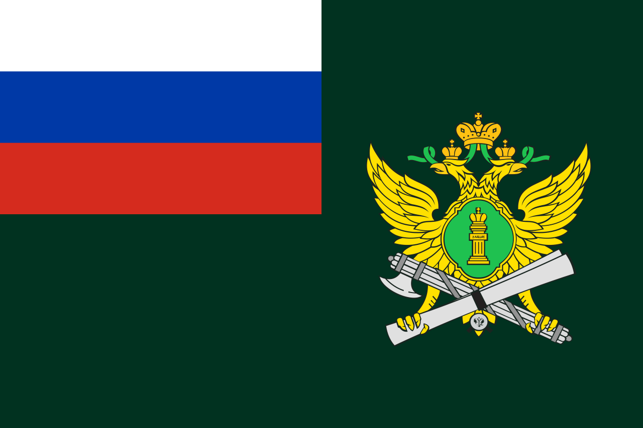Особенности ФССП